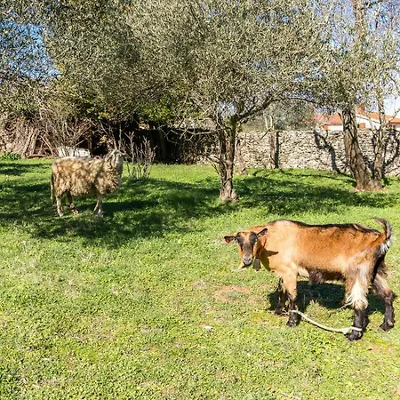 4+2 Kavran, Istria Appartement